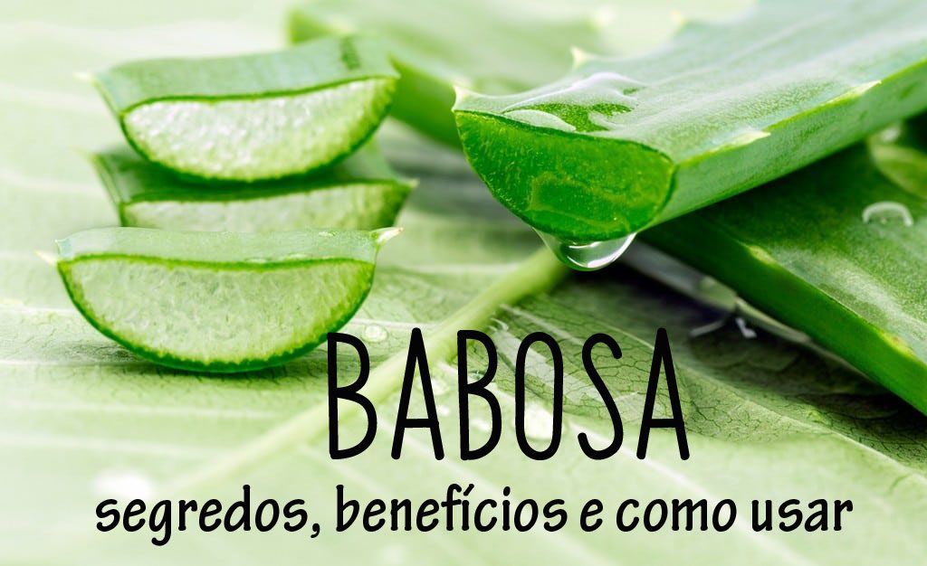 Babosa: segredos, benefícios e como usar 1
